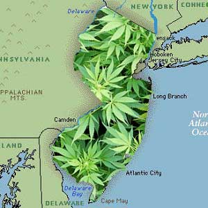 newjerseymarijuana