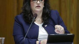 Kristi Fulnecky Springfield City Council