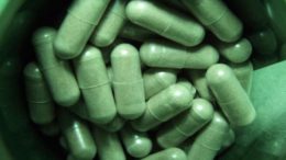 6 Plants Other Than Cannabis That are High in Healing Cannabinoids