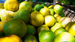 Oranges Limes