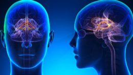 Big Pharma Dopamine & Serotonin Imbalances Within The Brain