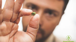 microdosing