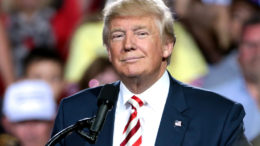 Donald Trump Happen Authoritarianism