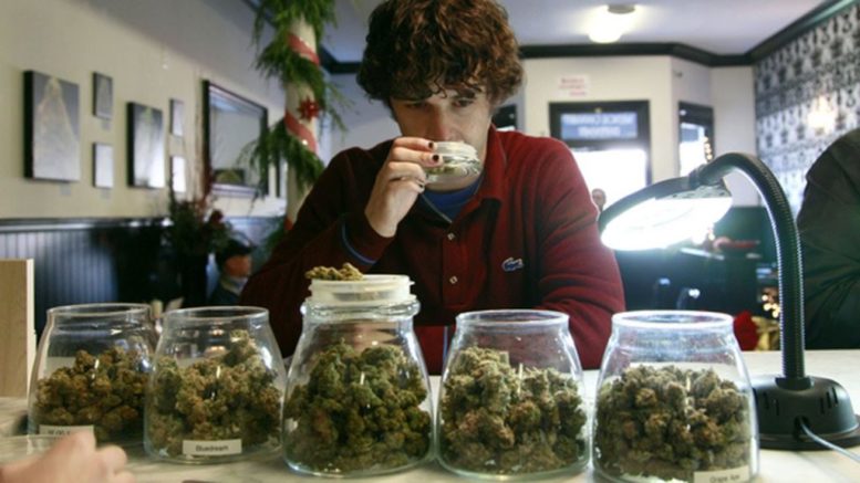Trump's Wall Medical Marijuana
