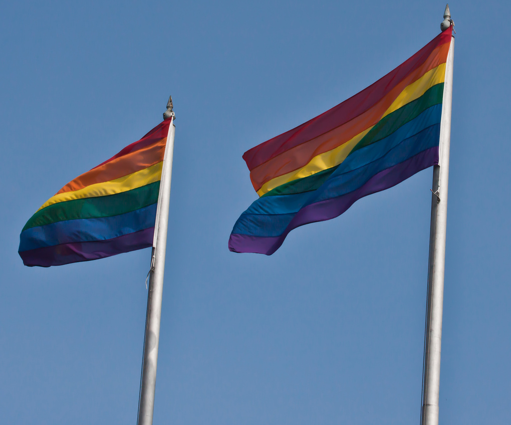 LGBT Gay Pride Rainbow Flag