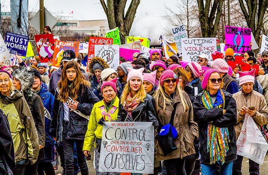 Women's March on Washington, Bullying