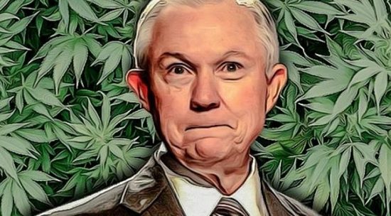 Sessions Marijuana Cannabis