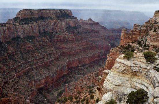Grand Canyon Crash